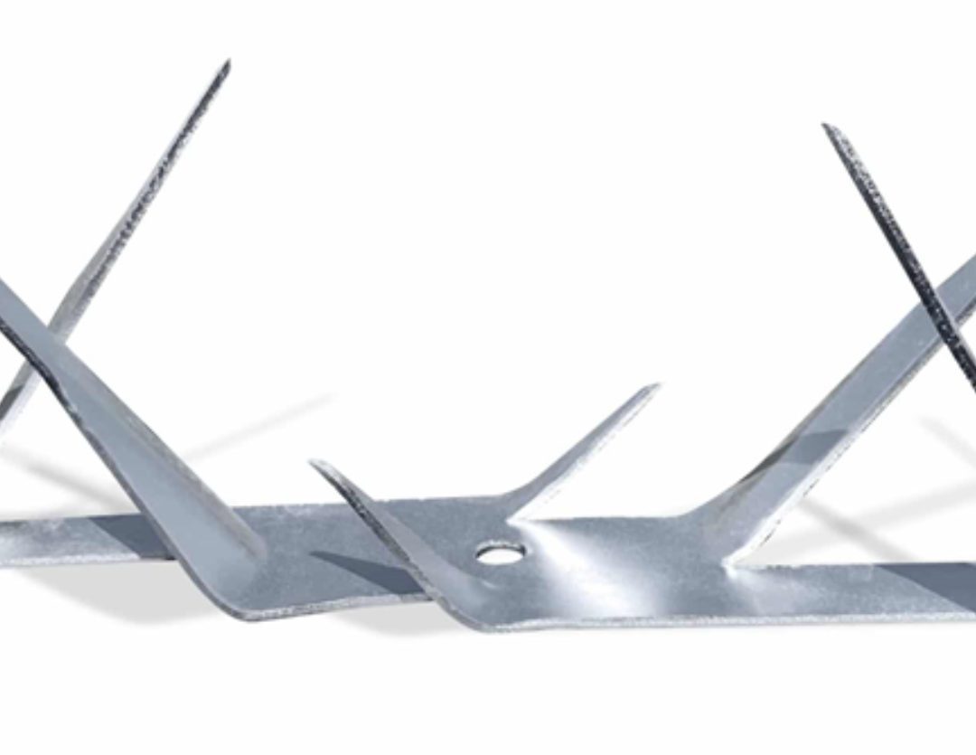 A close-up of metal spikes on a flat base, part of a clearview security fencing system to deter birds. The spikes are angled upwards and evenly spaced, set against a plain white background.
