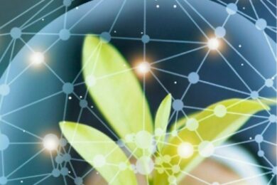 A small green plant with a few leaves is encased within a digital network sphere, symbolized by interconnected nodes and lines, offering a clear view of the seamless integration between technology and nature.